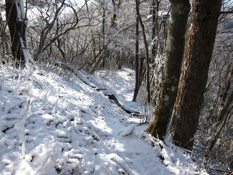 20191129hike (219)